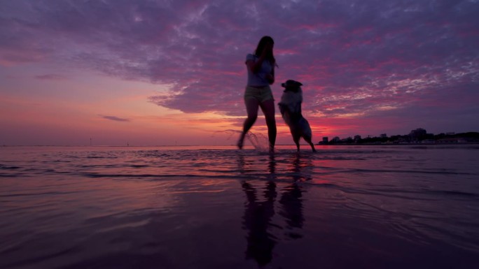 在紫色的夕阳下，一名妇女和她的狗在沙滩上玩耍