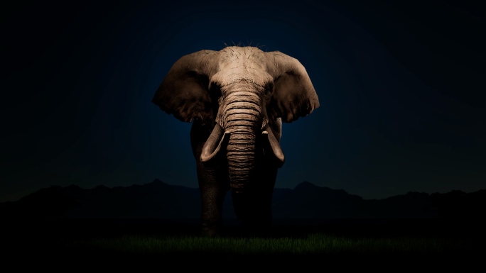 大象野生动物野生大象动物保护环境保护