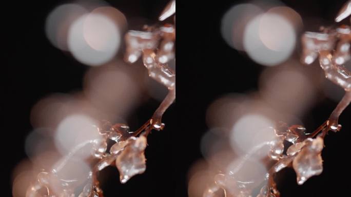 结冰的树枝微距特写实拍