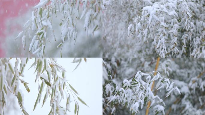 北京下雪竹林大雪唯美空镜素材