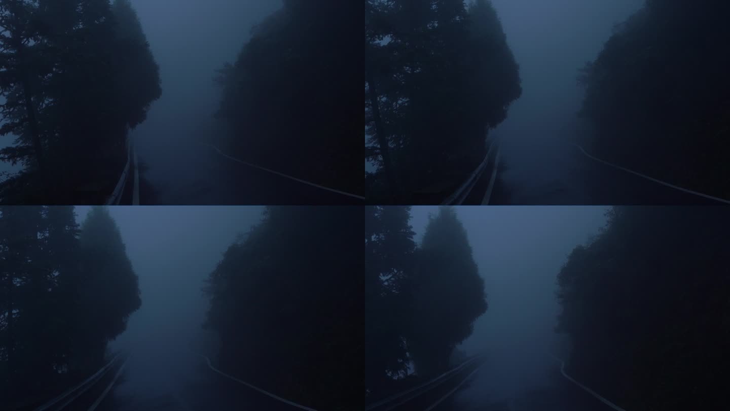 雾气山村小路森林树林C0017
