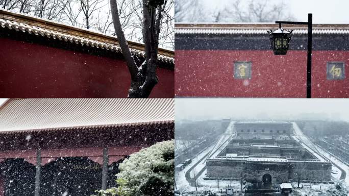 南京雪景 雪后的金陵