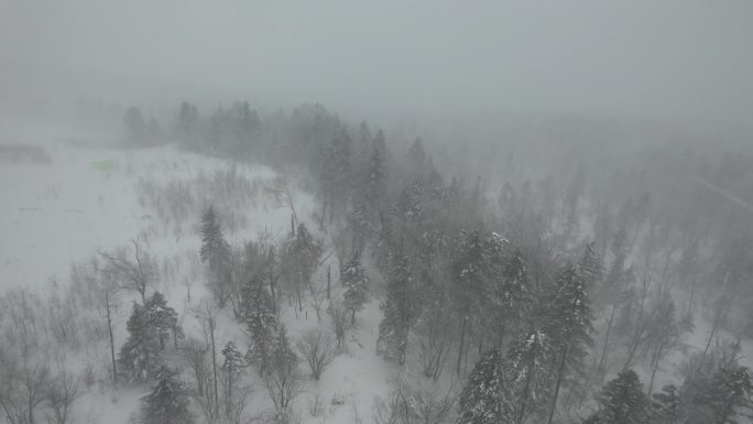 长白山雪岭下雪航拍