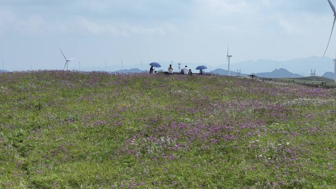 贵州屋脊韭菜坪日出云海