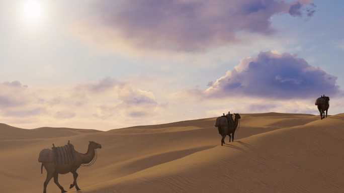 大漠沙漠骆驼驼队商队丝绸之路宽屏超宽屏