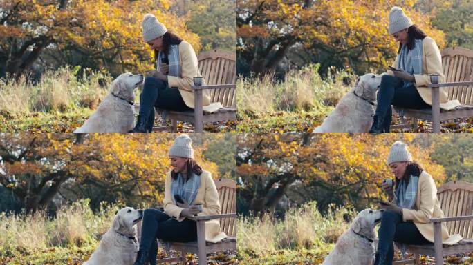 遛狗的女人坐在秋天公园或乡村的长椅上看手机