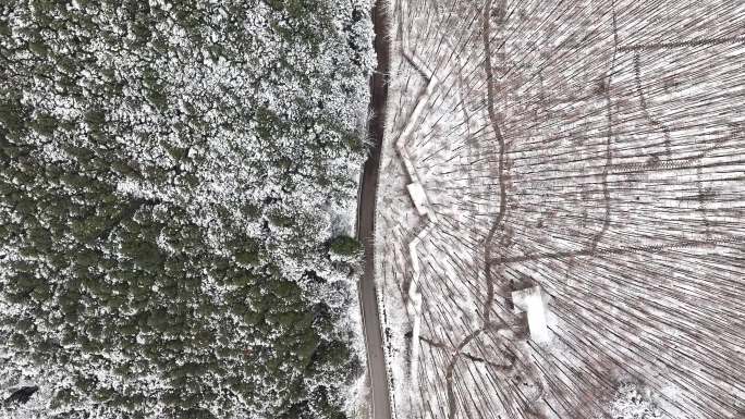 重庆南川金佛山山王坪景区雪景航拍