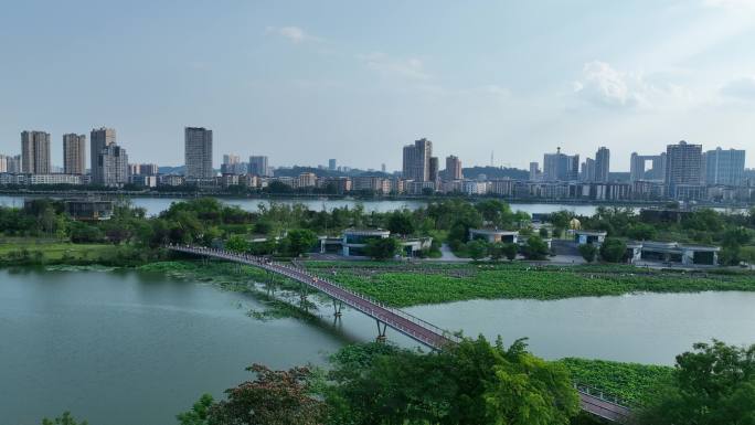 航拍四川遂宁圣莲岛景区荷花池塘小桥风景