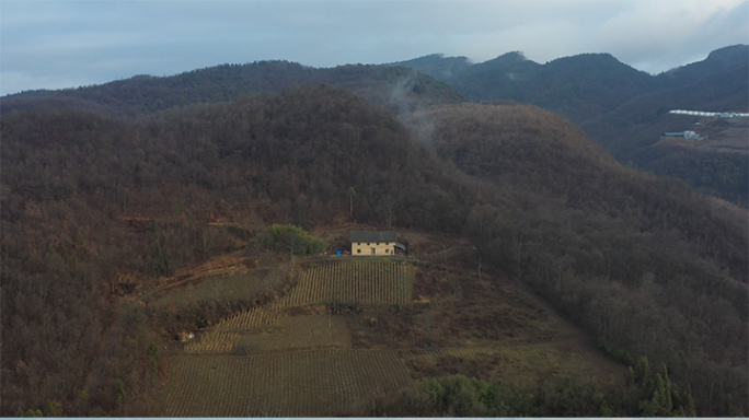 丘陵山坳清晨云雾 4k30p