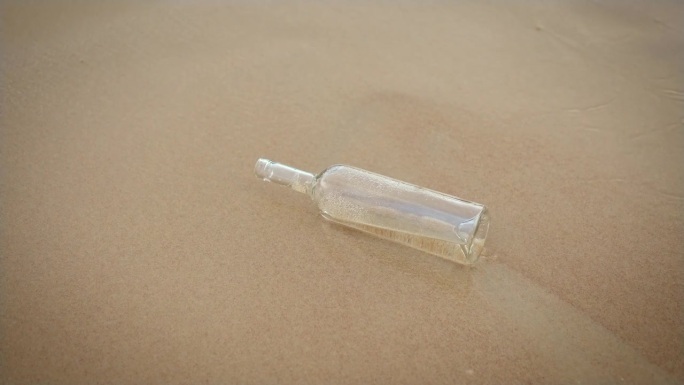 沙滩上的沙子里有空瓶子，水里有垃圾