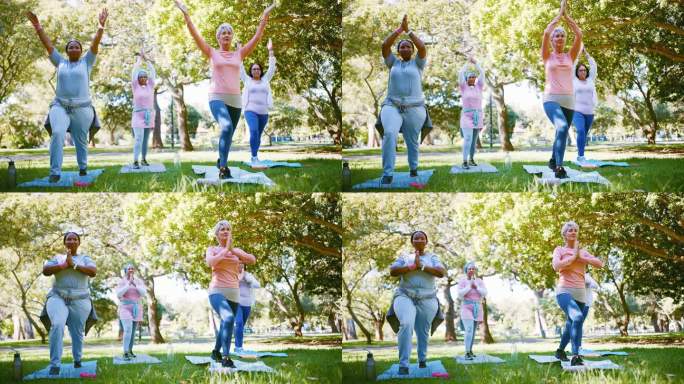 女性，瑜伽团体和自然冥想，精神健康和整体运动和健康的公园。高级导师，教练和班上的人祈祷之手，战士的姿