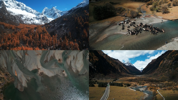 川西四姑娘山秋季雪山草原航拍4K