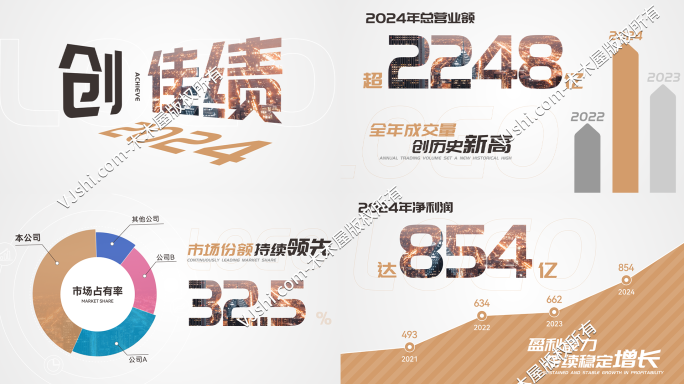 企业数据年报业绩数据展示