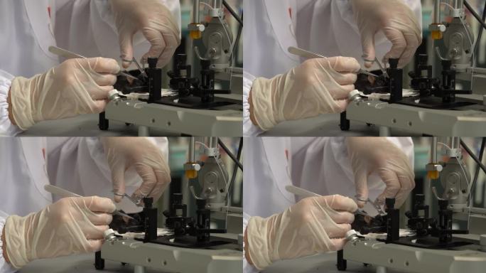 大学生做实验实验室超净间实验仪器医学实验