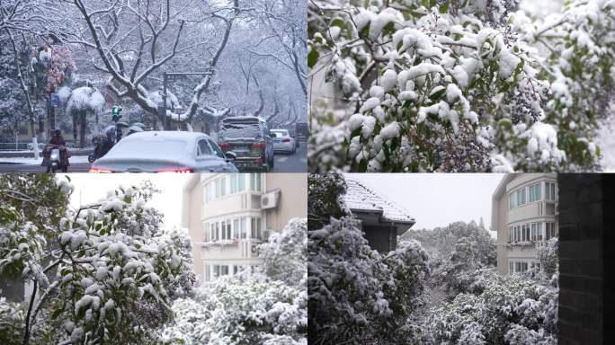 下雪路边雪景南京颐和路雪景大雪纷飞