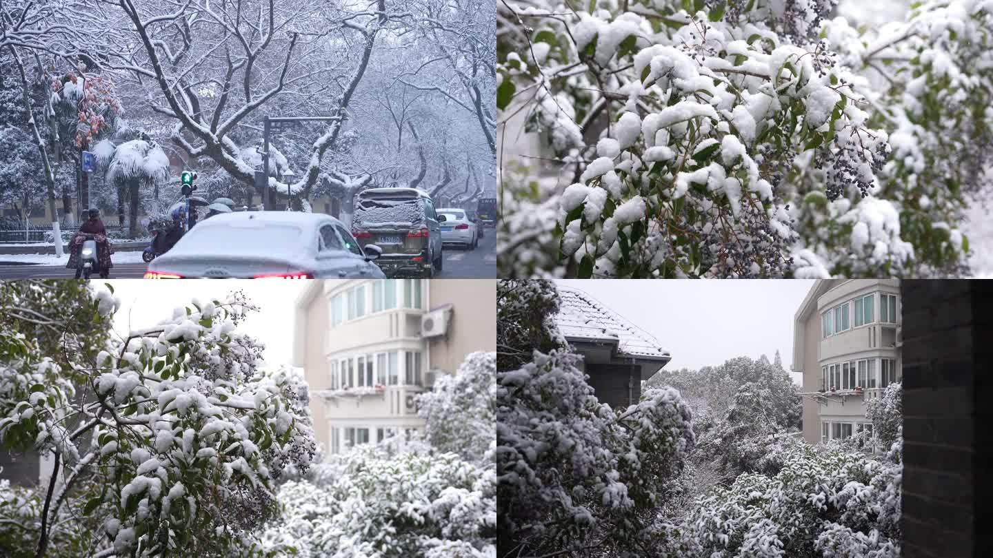 下雪路边雪景南京颐和路雪景大雪纷飞