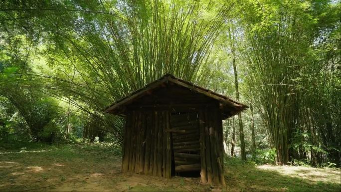 竹林中的竹屋。宁静和美丽的大自然。绿色森林里的木屋。丛林小屋。老式木屋。树屋