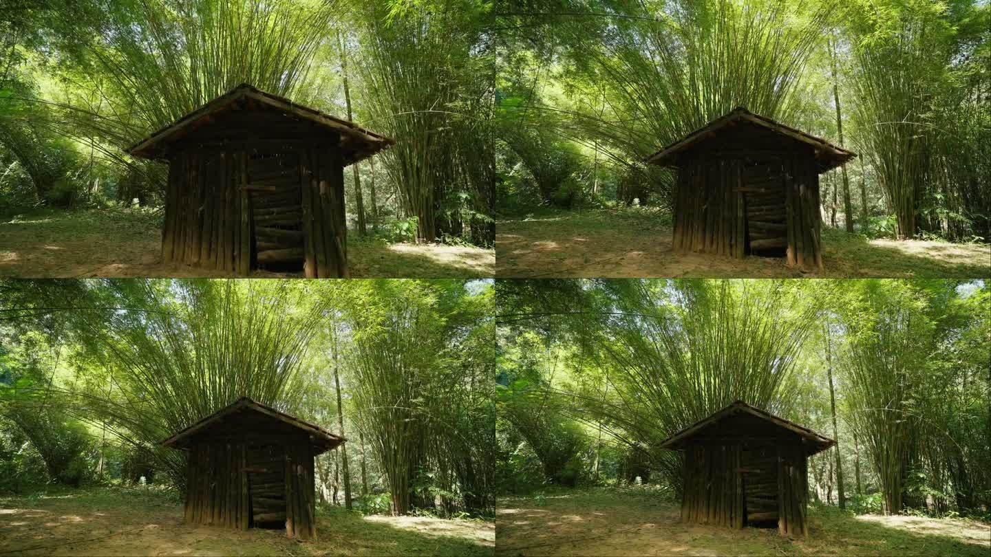 竹林中的竹屋。宁静和美丽的大自然。绿色森林里的木屋。丛林小屋。老式木屋。树屋