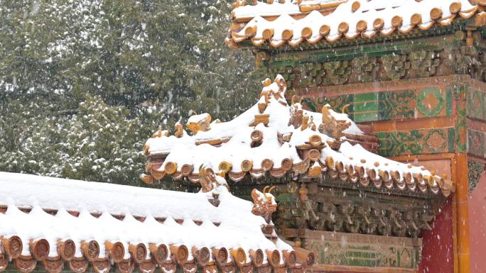 8组故宫雪景下雪的故宫