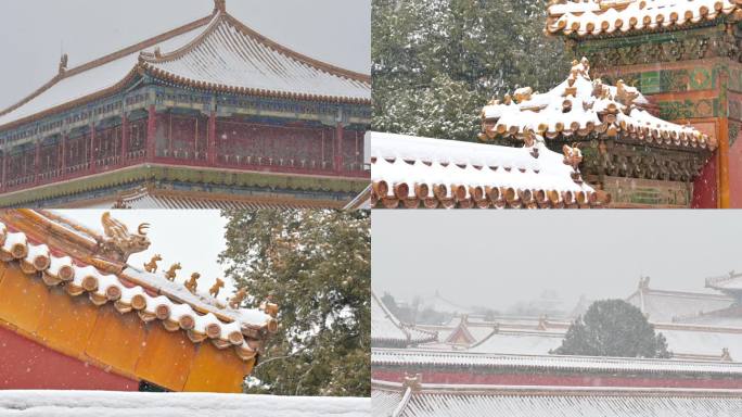 8组故宫雪景下雪的故宫