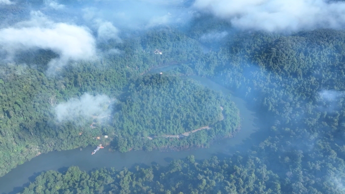 热带雨林望天树景区航拍
