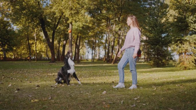 一名女子在公园的草地上与狗掷球