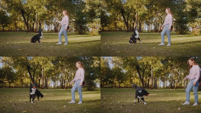 一名女子在公园的草地上与狗掷球
