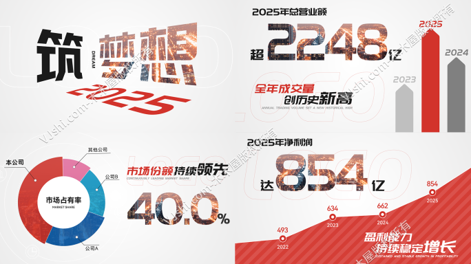 2025企业年报财务数据展示