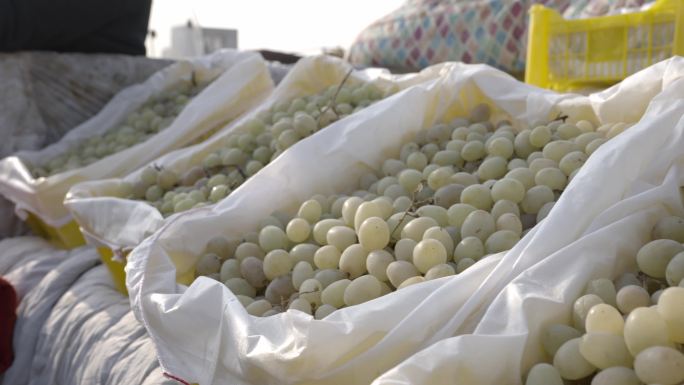 新疆吐鲁番集市美食小吃逛街赶集买水果人文