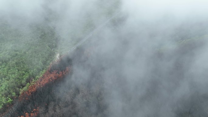 飞跃云雾之中航拍枯树绿树火山口地热奇观