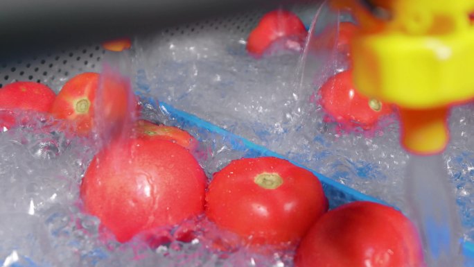 食品安全水洗番茄