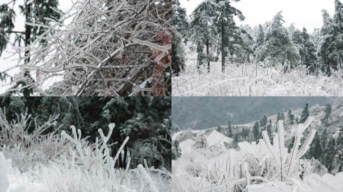 实拍冬季大雪山里的风光