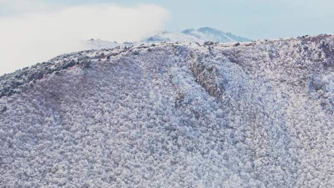 龙王山00000171