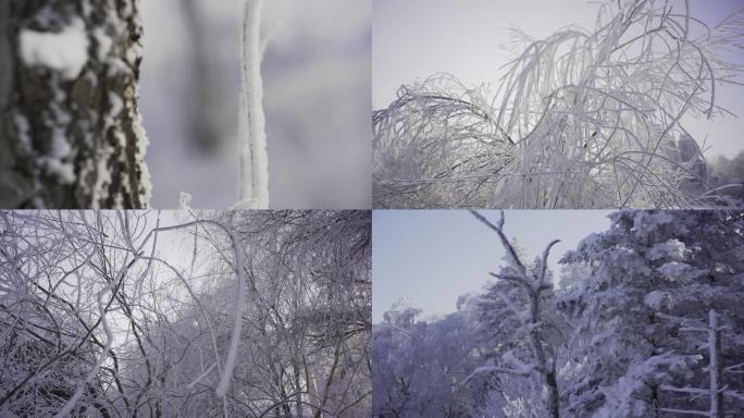 东北吉林雪乡树枝上的雾凇特写镜头2
