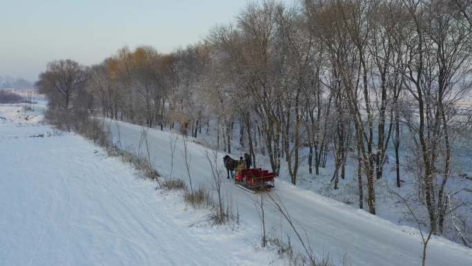 东北吉林景点游玩项目马拉爬犁在雪地行走