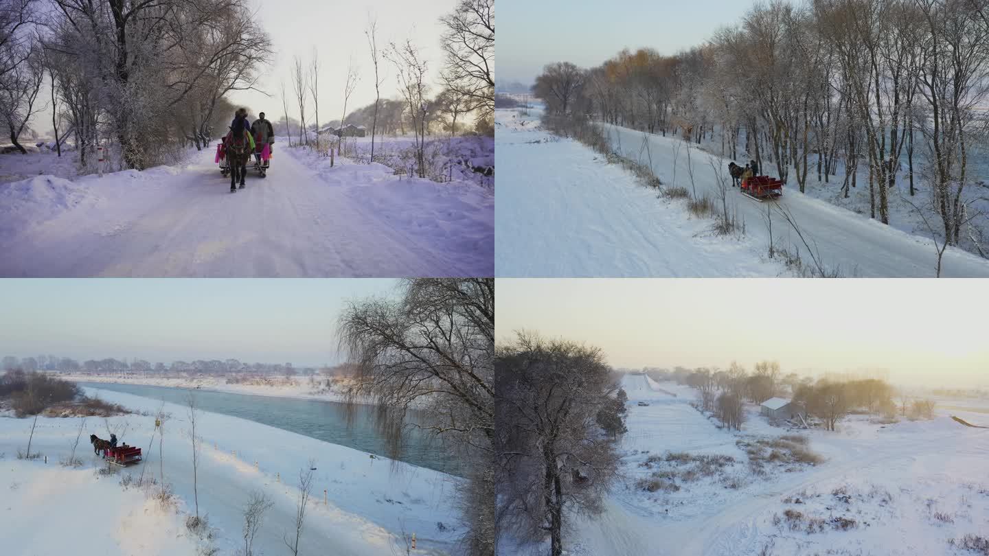 东北吉林景点游玩项目马拉爬犁在雪地行走