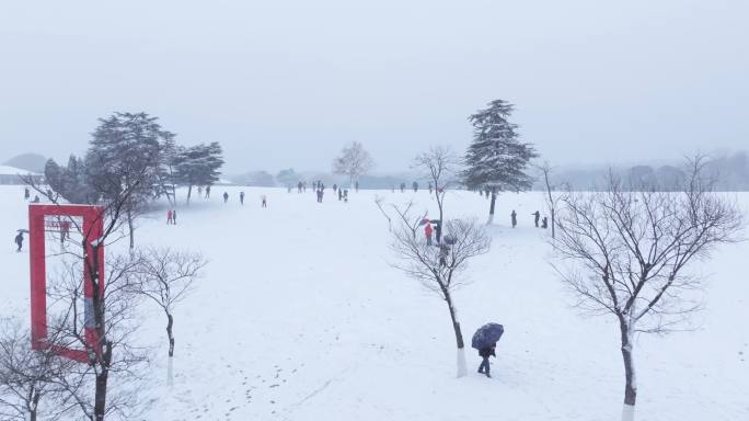 2023南京雪景素材