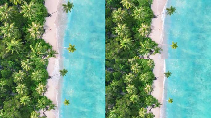 鸟瞰马尔代夫天堂岛美丽的热带海滩和椰子树海