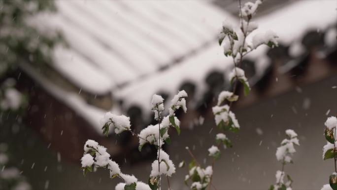 古建筑屋角下雪雪景