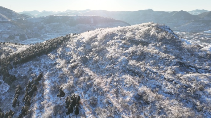 济南黑峪顶雪后雾凇