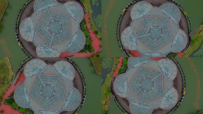 广州航拍华南植物园4K视频素材