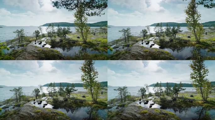 独特的美丽景观，岩石和湖泊，在芬兰和卡累利阿旅行，休息的鸭子