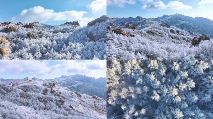 崂山冬季山林雾凇雪景航拍