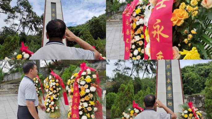 烈士陵园退伍军人祭拜祭奠敬礼墓碑老兵致敬