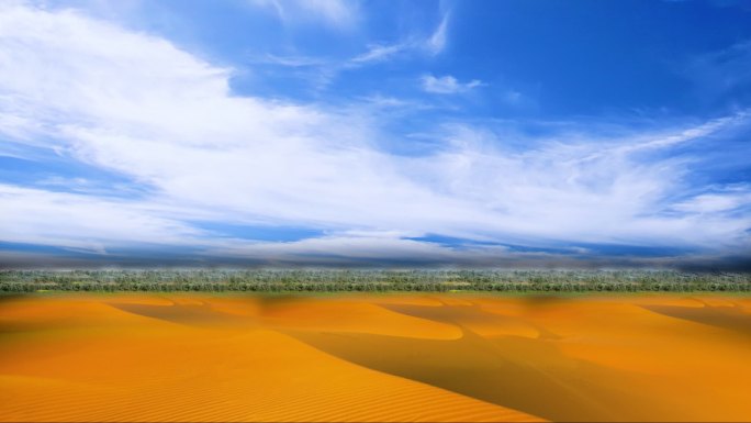 新疆农业农村广阔沙棘地田野沙棘林沙棘丰