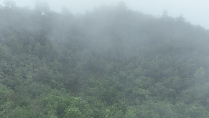 航拍云雾之中的火山口山顶森林奇观云南保山