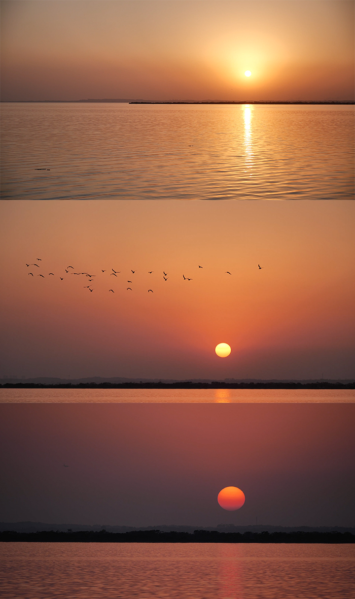 张渡湖湿地公园 湖面夕阳 飞鸟 逆光湖面