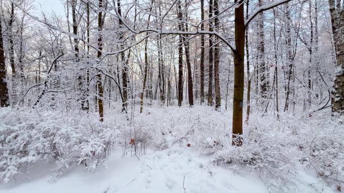 霜冻的冬日公园里夕阳西下，树枝上挂满了雪花，雪花缓缓地飘落，寂静而寂静