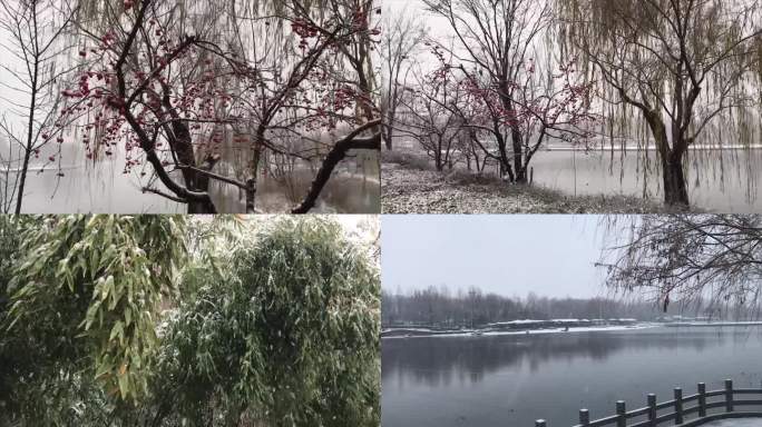 红莲湖雪景