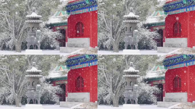 实拍北京2023年初雪北海公园飘雪雪景